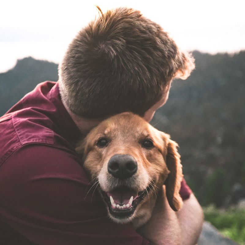 veterinarian